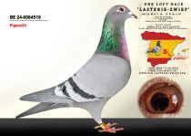 BE 24-6084519